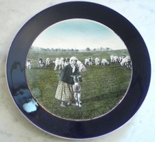 Photographic plate shepherd d'occasion  Expédié en Belgium