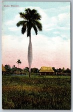 Usado, Cartão postal antigo da década de 1910 Cuba Mission Species of Palm impresso na Alemanha DB L5 comprar usado  Enviando para Brazil