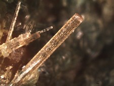 Vesuvianite rara micromonta usato  Grizzana Morandi