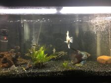 Gallon marineland aquarium for sale  Metuchen