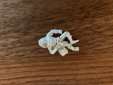 Mordheim warhammer fantasy usato  Treviso