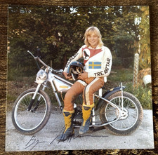 Bjorn andersson swindon for sale  SHEFFIELD