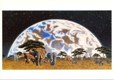 Carte postale illustrateur d'occasion  Limoux
