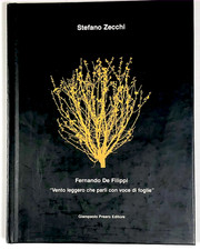 Fernando filippi vento usato  Milano