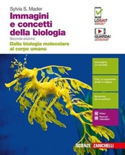 Immagini concetti della usato  Certaldo