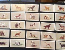 Top dogs collection for sale  SOUTHAMPTON