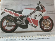 Radiatore yamaha tzr250 usato  Gubbio