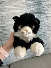 Keel long cat for sale  DERBY