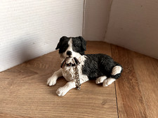 Dog studies leonardo for sale  GOSPORT