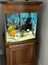 Aqua oak large for sale  UK