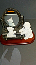 westie puppy for sale westie puppy for sale LEICESTER