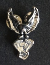 Harley davidson pin gebraucht kaufen  Freudenstadt