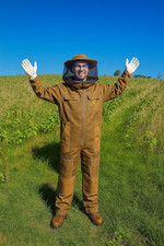 Bee suit humblebee for sale  KETTERING