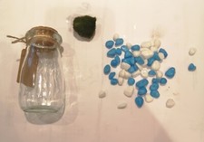Marimo moss ball for sale  DRONFIELD