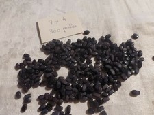 Lot 300 perle d'occasion  Clermont-Ferrand-