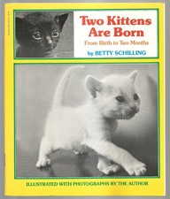 Vintage children book for sale  Chico