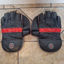 Gray nicolls millennium for sale  NELSON
