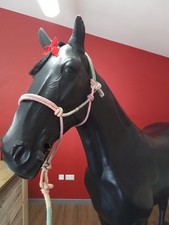 Multi colour pastel for sale  NORWICH