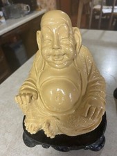 Asiatic sitting happy for sale  Rome