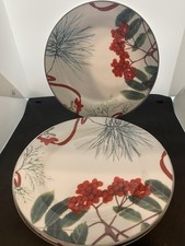 Domo vista stck gebraucht kaufen  Gehrden
