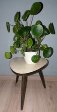 Blumenhocker nierentisch mid gebraucht kaufen  Oedheim