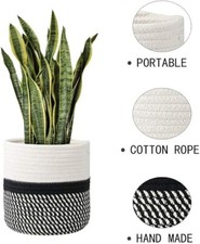 Large flower pot for sale  LONDON