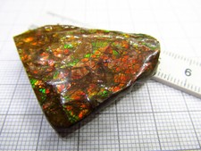 Ammolit ammolite kanada gebraucht kaufen  Immenhausen