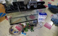 Gallon fish tank for sale  Lansing