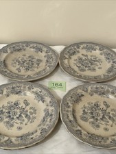 Asiatic pheasants set for sale  CAERNARFON