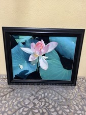 Painting pink lotus for sale  Newtown