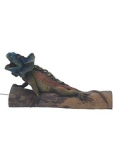 Iguane d'occasion  Retournac