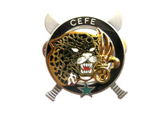 Guyane legion etrangere d'occasion  Saint-Mamert-du-Gard