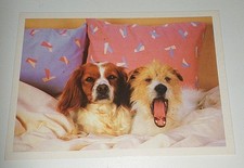 Usado, Cavalier King Charles Spaniel Kromfohrländer Hunde Postkarte Ak Hundepostkarte comprar usado Usado, Cavalier King Charles Spaniel Kromfohrländer Hunde Postkarte Ak Hundepostkarte comprar usado  Enviando para Brazil