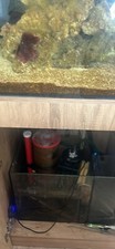 Fish tank used for sale  LIVERPOOL