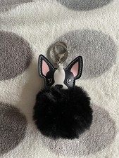 French bulldog pom for sale  ELLESMERE