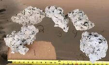 Dry reef rock for sale  Daytona Beach