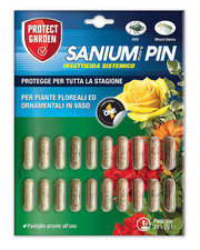 Sanium pin pfnpo usato  Roma