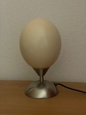 straußenei gebraucht kaufen straußenei gebraucht kaufen Sülfeld