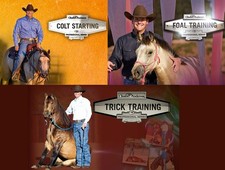 Clinton anderson colt for sale  USA