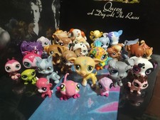 My Little Pet Shop LPS Lote Misto de 30 Figuras 4! Mini insetos gatos cachorros lagarto lady bug, usado comprar usado My Little Pet Shop LPS Lote Misto de 30 Figuras 4! Mini insetos gatos cachorros lagarto lady bug, usado comprar usado  Enviando para Brazil