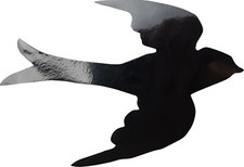 Magnetisches insektenschutz fl gebraucht kaufen  Burbach