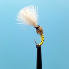 Barbless white cdc for sale  BOLTON