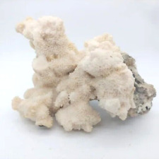 Large dead coral for sale  Mahopac