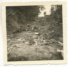 Używany, Oryginalne zdjęcie las walka pod Tagnon Ardeny Francja lipiec 1940 FE159 na sprzedaż  PL