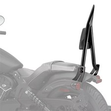 Sissybar indian scout gebraucht kaufen  Wiehl