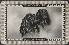 Cartas de baralho cartão único antigo preto branco uísque publicidade COCKER SPANIEL cães, usado comprar usado  Enviando para Brazil