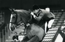 Brussels horse jumping for sale  STOCKPORT