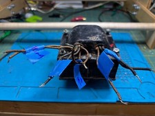 Transformador de potência PHILCO parte 32-7627 Philco tubo rádio modelo 38-62 comprar usado Transformador de potência PHILCO parte 32-7627 Philco tubo rádio modelo 38-62 comprar usado  Enviando para Brazil