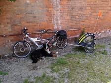 Bicycle trailer children for sale  BOSTON