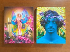 David lachapelle part gebraucht kaufen  Sankt Augustin